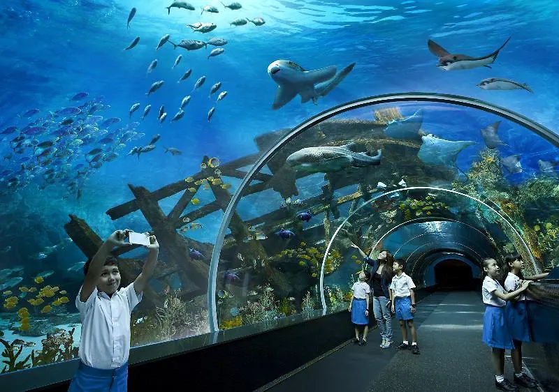 Resorts World Sentosa - Festive Hotel Singapour